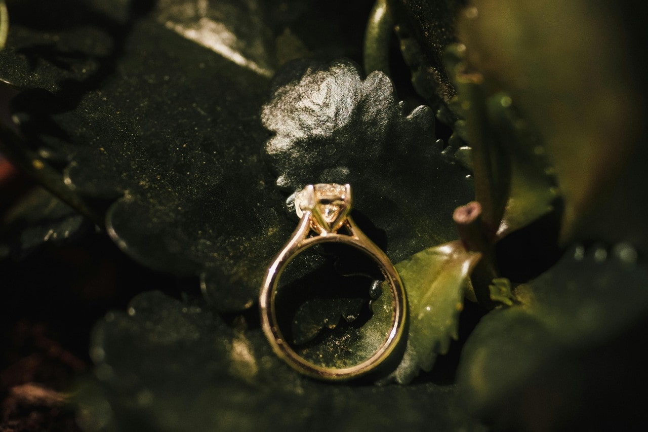 a solitaire yellow gold engagement ring lying on a bed of green leaves