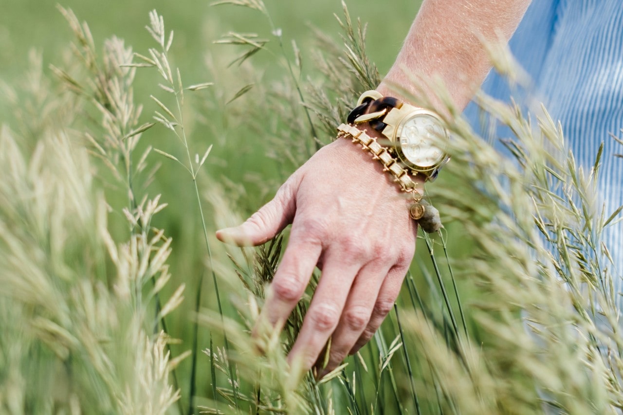 a woman’s hand touching tall grass, adorned with a gold watch and bracelet